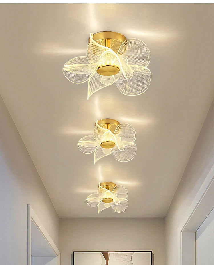 Ceiling Light For Home