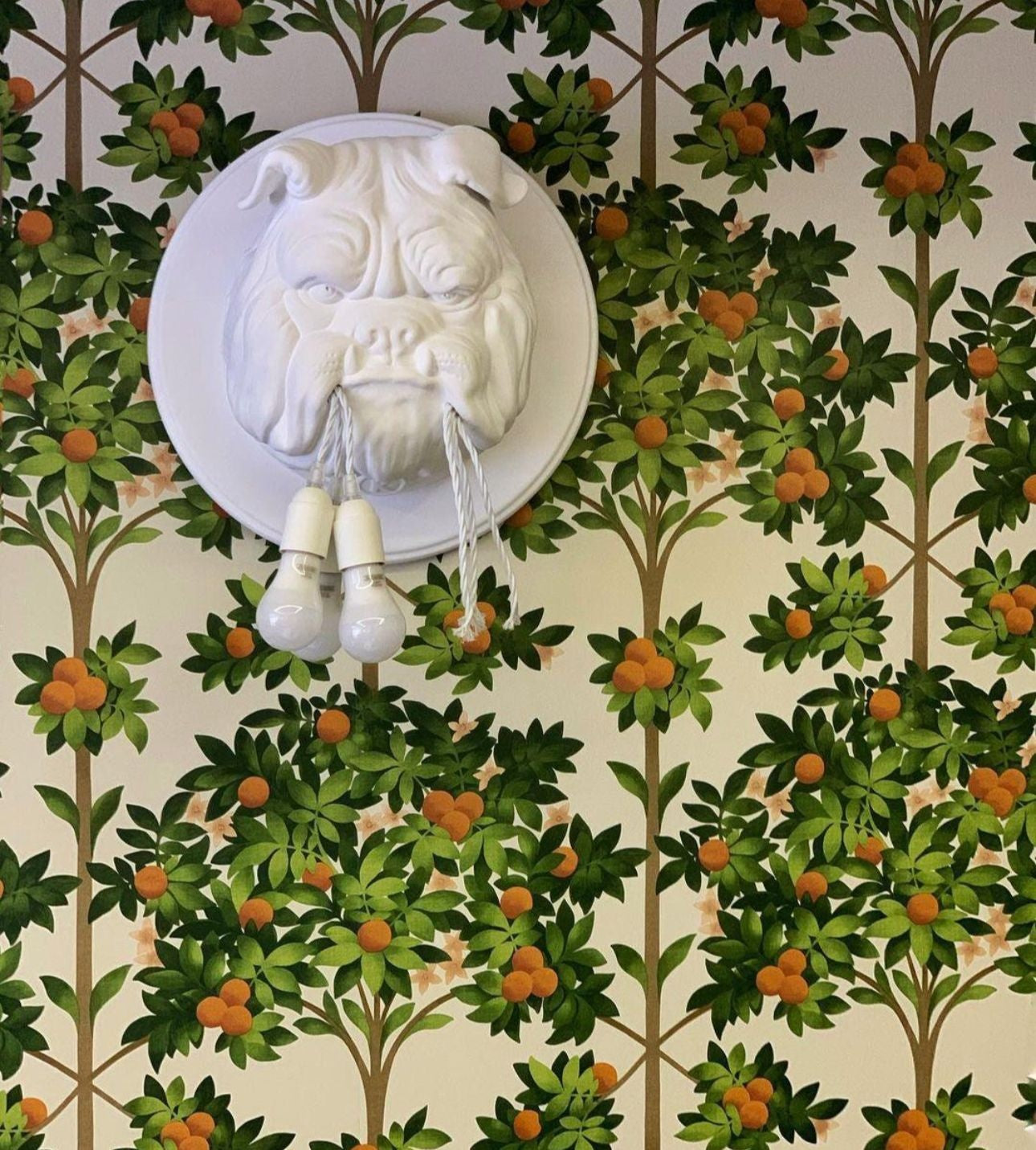 French Bull Dog Wall Sculpture Lamp