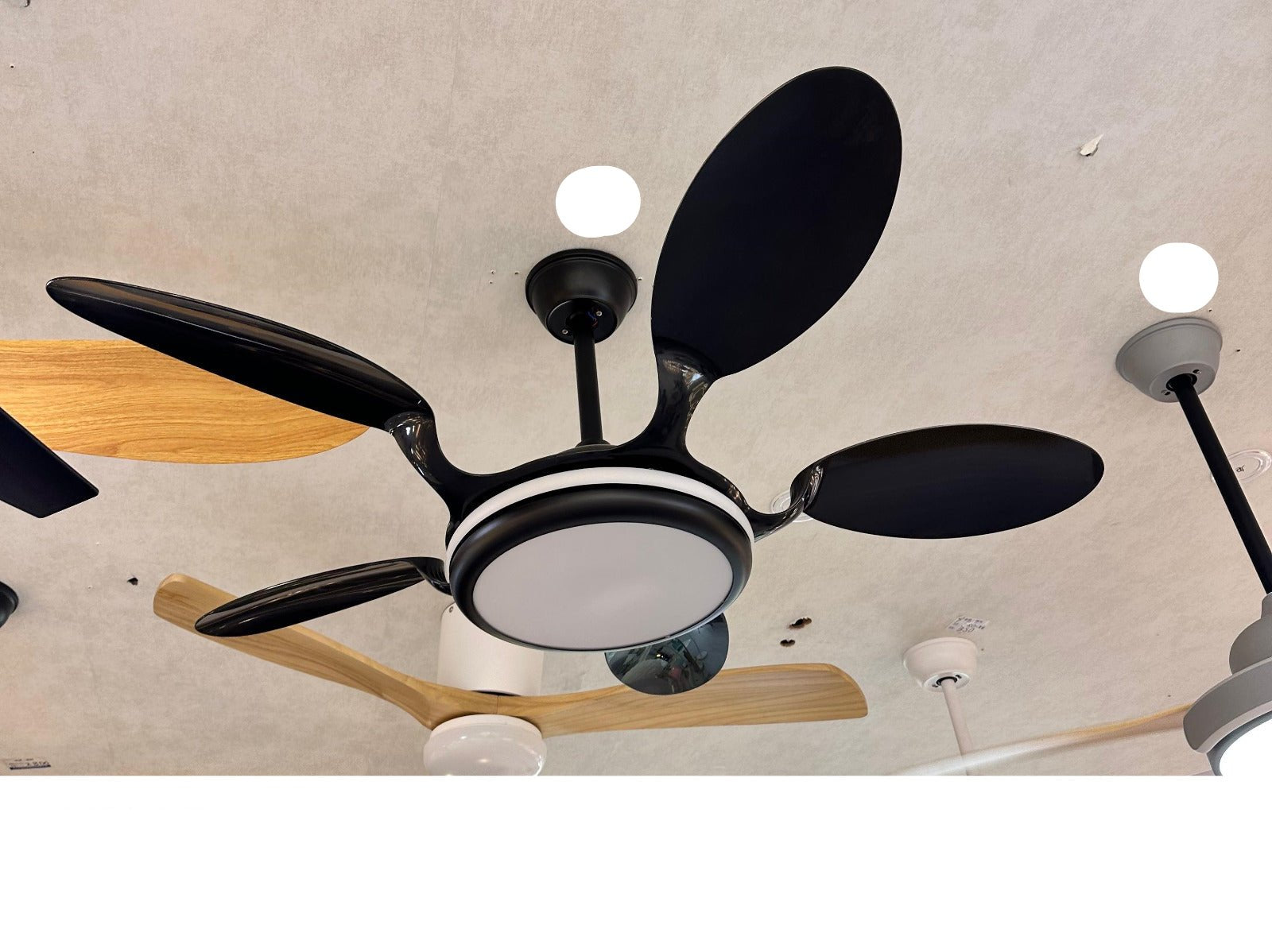 ALL REMAINING FANS DESIGN (CONTACT WHATSAPP FOR PRICE +91 7982013236) PRODUCT IN STOCK AVAILABLE