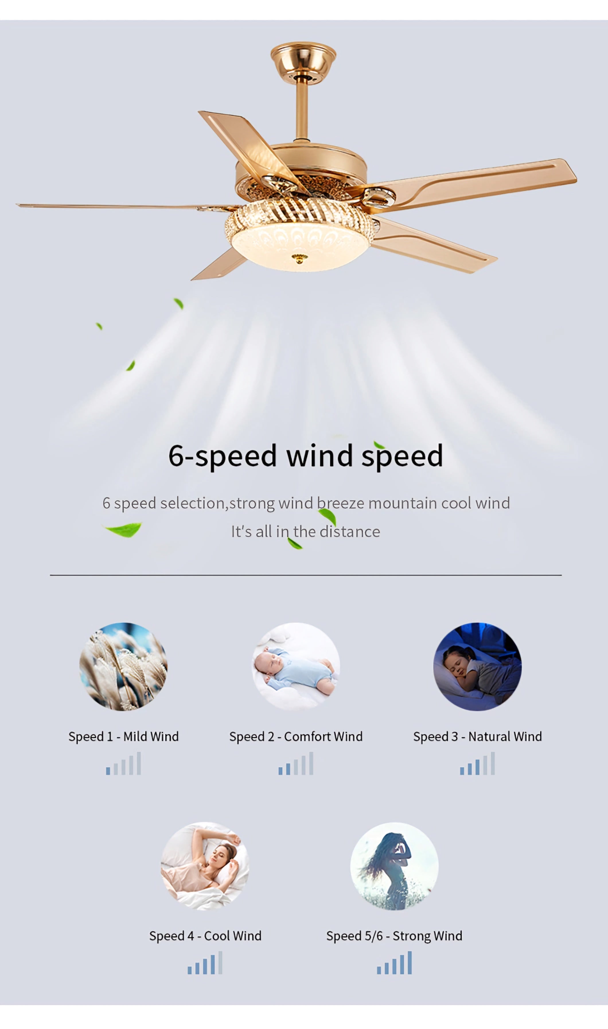 Empress Epoch (Gold) Ceiling Fan