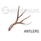 ANTLERS Double Height-L2