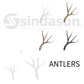 ANTLERS Double Height-L2